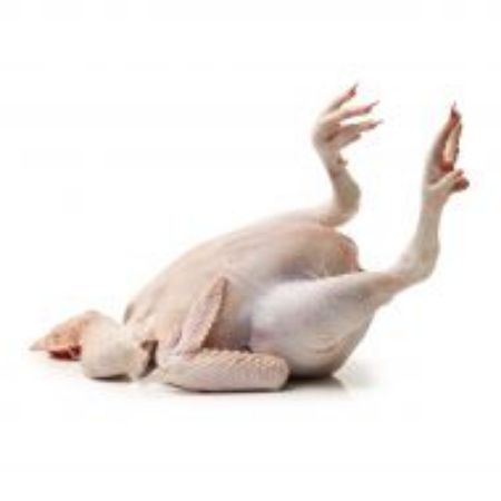 Picture for category Chicken